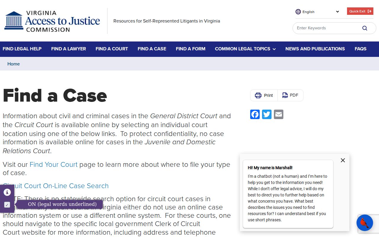 Roanoke County criminal court case search guidance from Virginia courts